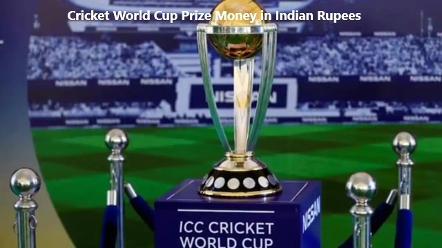 Cricket World Cup Prize Money in Indian Rupees